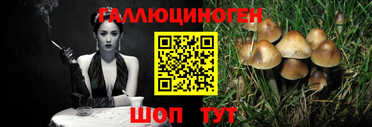 Псилоцибиновые грибы MAGIC MUSHROOMS  Галлюциногенные грибы мицелий  Ангарск  Вход с VPN 